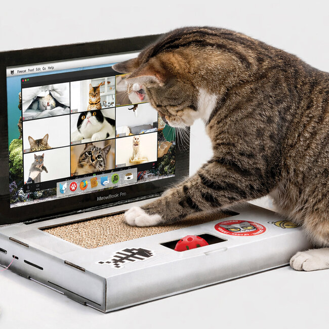Suck UK - Katzen-Kratzbrett Laptop