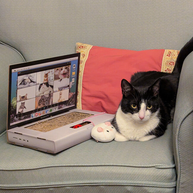 Suck UK - Katzen-Kratzbrett Laptop