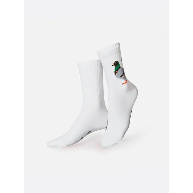 Eat My Socks - Sokken Duif