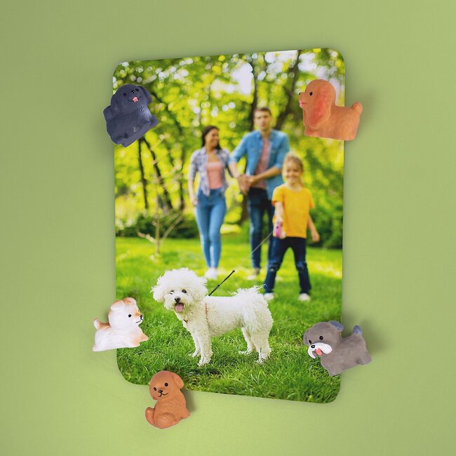 Trendform - Aimants Puppy - lot de 5