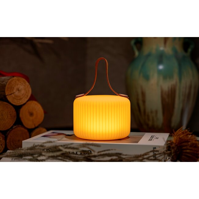 Ginkgo - Mochi Pure - Portable Lamp