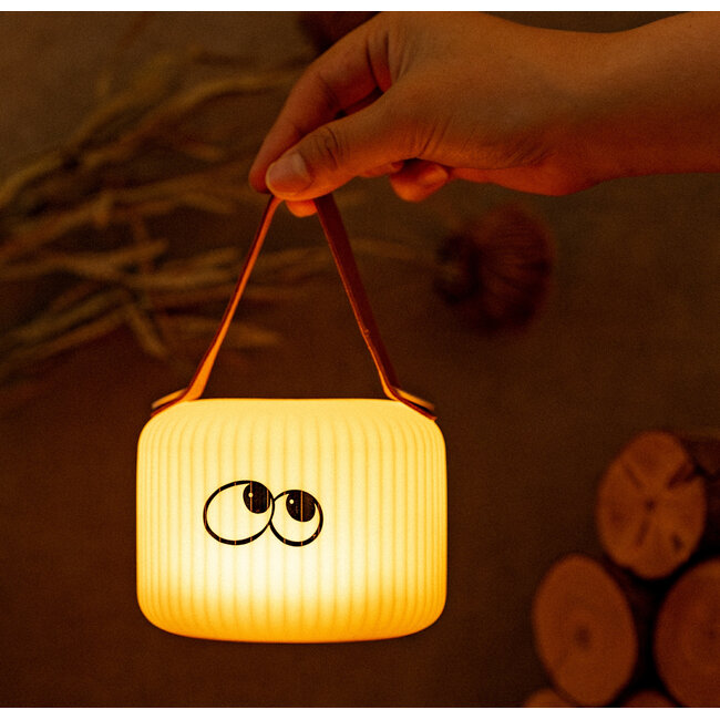 Gingko Mochi Wonder