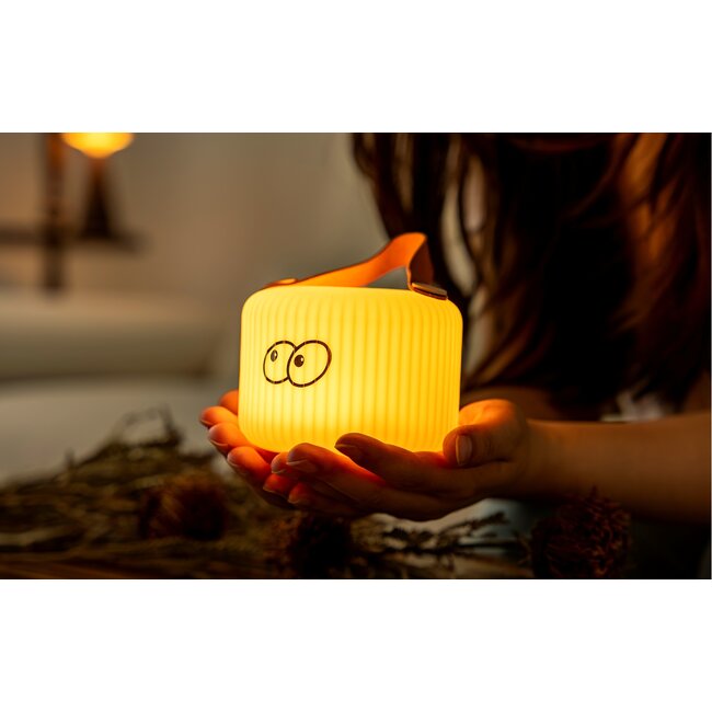 Ginkgo - Mochi Peek - Portable Lamp