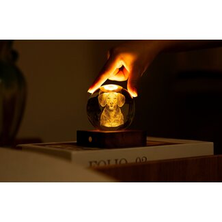 Gingko Amber Crystal Light - Dackel Gingko Amber Crystal Light - Dackel