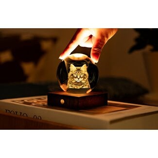 Gingko Amber Crystal Light -  Long-haired Cat