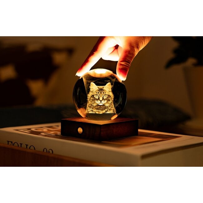 Gingko - Amber Crystal Ball Night Light - Chat à poils longs
