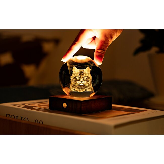 Gingko - Amber Crystal Ball Night Light - Long-haired Cat