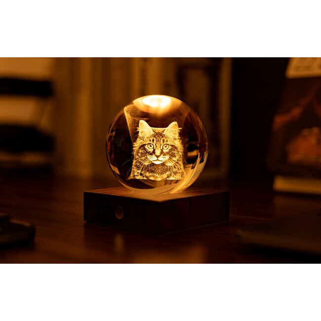 Gingko Amber Crystal Light -  Langhaarkatze