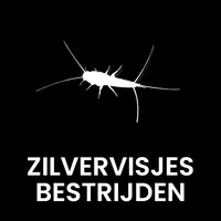 Zilvervisjes