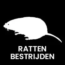 Ratten bestrijden