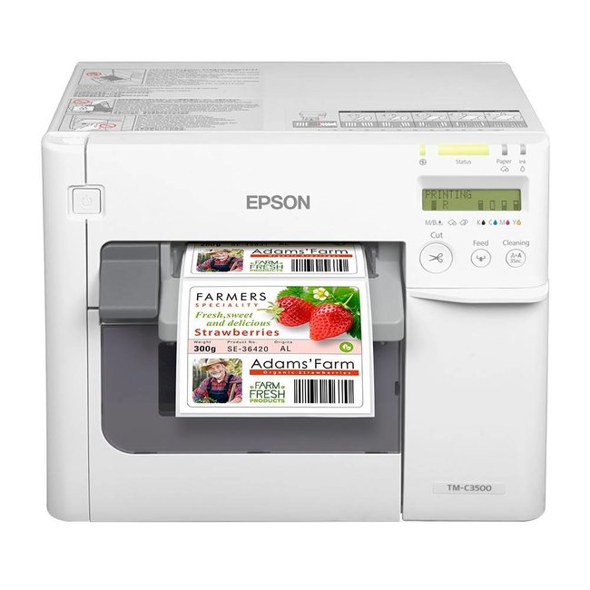 Epson Epson C3500