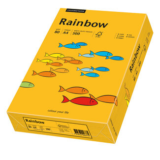 Euro-Label BV Rainbow A4 80 gram middeloranje, pak 500 vel Euro-Label BV Rainbow A4 80 gram middeloranje, pak 500 vel