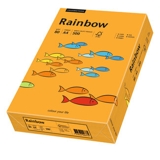 Euro-Label BV Rainbow A4 80 gram oranje, pak 500 vel Euro-Label BV Rainbow A4 80 gram oranje, pak 500 vel