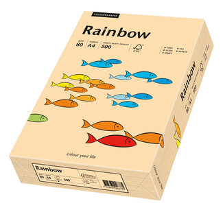 Euro-Label BV Rainbow A4 80 gram zalm, pak 500 vel Euro-Label BV Rainbow A4 80 gram zalm, pak 500 vel