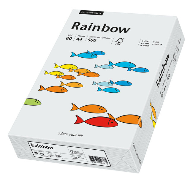 Euro-Label BV 1 pak Rainbow gekleurd papier, 500 vel, kleur lichtgrijs