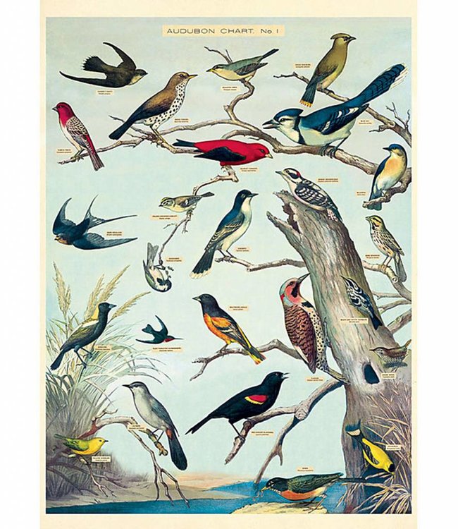 Cavallini & Co Poster/cadeaupapier - Vogels