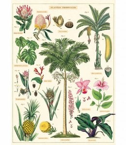 Cavallini & Co Poster - Tropische planten