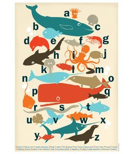 de Beeldvink Poster - Van potvis tot zeesla