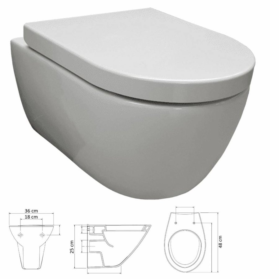 Up100 Toiletset 08 Aqua Royal Easyflush Rimfree 48Cm Compact Met Delta Drukplaat