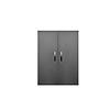 Sanicare Kolomkast Sanicare Q1/Q4/Q12 2-Deurs Soft-Closing Chromen Greep 90x67x32 cm Grey-Wood