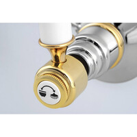 Douchekraan Inbouw Sapho Antea Mengkraan Afbouwdeel 2-weg Chroom / Goud