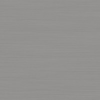 Toiletborstel Met Houder Tiger Tune RVS Geborsteld / Zwart