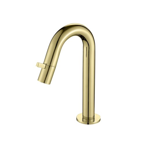 Toiletkraan Best Design Nancy 1-draaiknop Gebogen 21 cm Mat Goud 