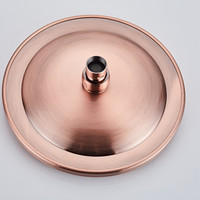 Inbouw Regendouche Set Boss & Wessing Copper Pro Wanduitloop en Staaf Handdouche Geborsteld Koper 20 cm