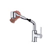 GRB Keukenkraan GRB Kitchen 30,2 cm met Uittrekbare Handdouche Twee Standen Chroom