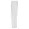 Radiator Boss & Wessing Jarmilo 200x45 cm Midden Onder Aansluiting Dubbel Wit (1461 Watt)