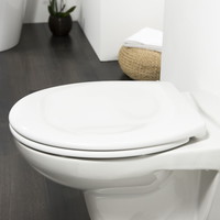 Toiletzitting Tiger Ventura Softclose Duroplast Wit