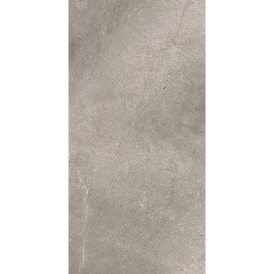 Vloertegel TS-Tiles Stonemaster Silver 60x120 cm (doosinhoud 1.43m2) (prijs per m2)