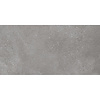 Rako Wandtegel Rako Betonico 30x60 cm Grey Grijs (Doosinhoud: 1,08 m2) (prijs per m2)