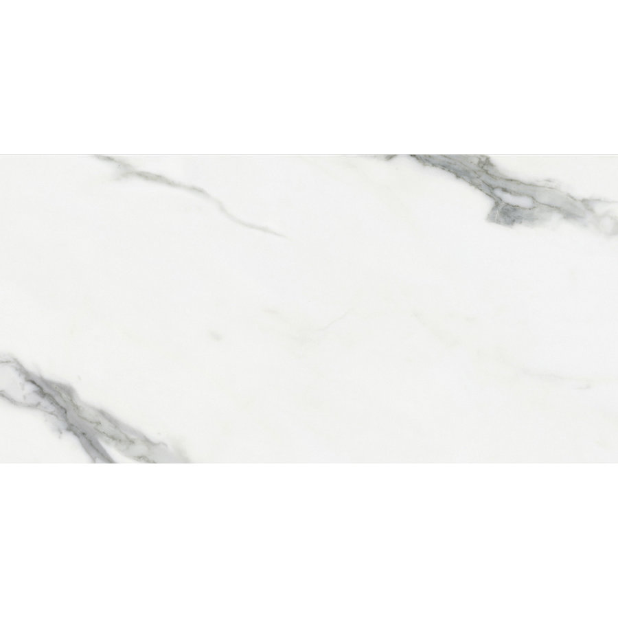 Vloer- en Wandtegel Navarti Uyuni 60x120 cm Gepolijst Wit (Doosinhoud: 1,44 m2) (prijs per m2)