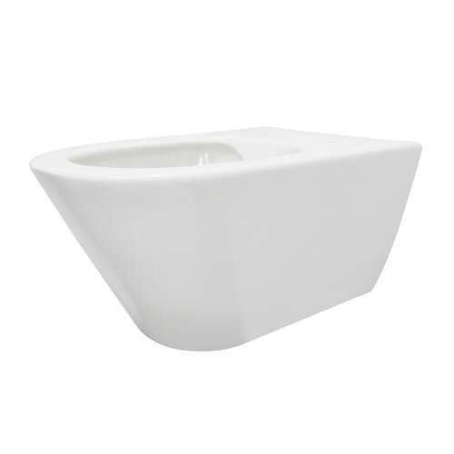 Wandcloset Aquasplash Tia Rimless zonder Toiletzitting Glans Wit 