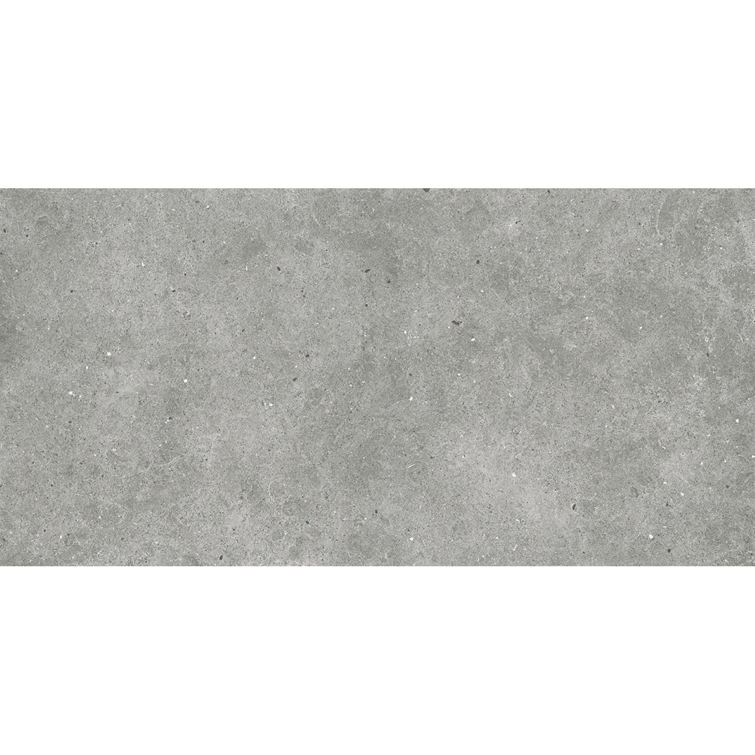 Euro Flyzone Vloertegel Soul 60x120 cm Grey - Efc120sougr