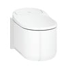 Wandcloset Grohe Sensia Arena met Bidet met Closetzitting en Smart Functies 37.5x60 cm Alpien Wit