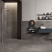 Flaminia C Mine Grey 90x90 Grijs (prijs per m2) OP=OP