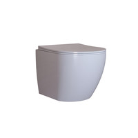 Geberit Sigma 8 (UP720) Toiletset set62 Mudo Rimless Met Sigma 80 Drukplaat