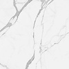 Alaplana Vloertegel Alaplana P.E. Palladio Statuario Gepolijst 120x120 cm Gerectificeerd Marmerlook (Doosinhoud 1.44 m2) (prijs per m2)