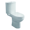 Go by Van Marcke Duoblok VM Cobra Compleet Staand Toilet (AO) Met Softclose Zitting en Spoelbak