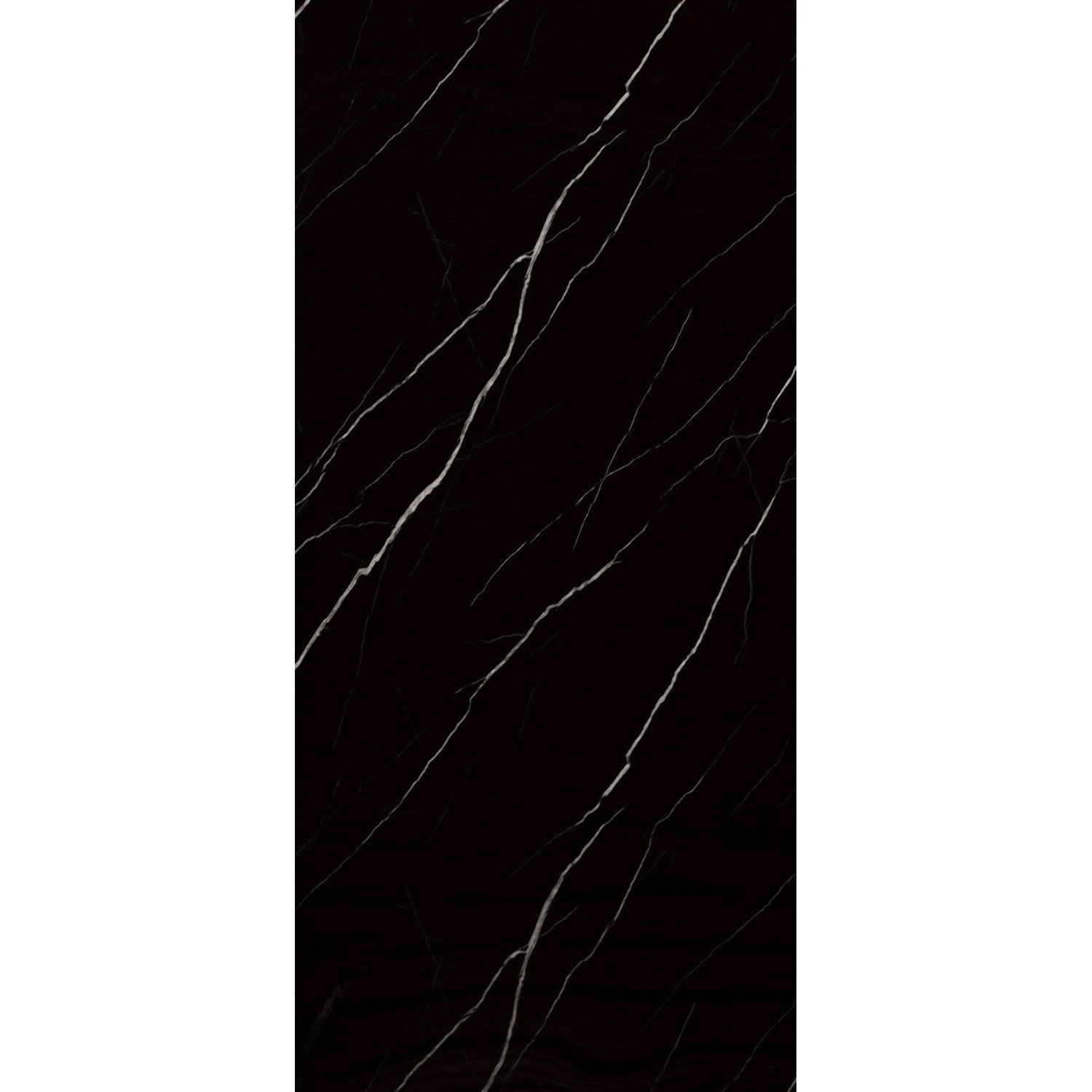 Wandpaneel BWS Otis 120x260 cm Waterbestendig Hoogglans Carrara Black BWS