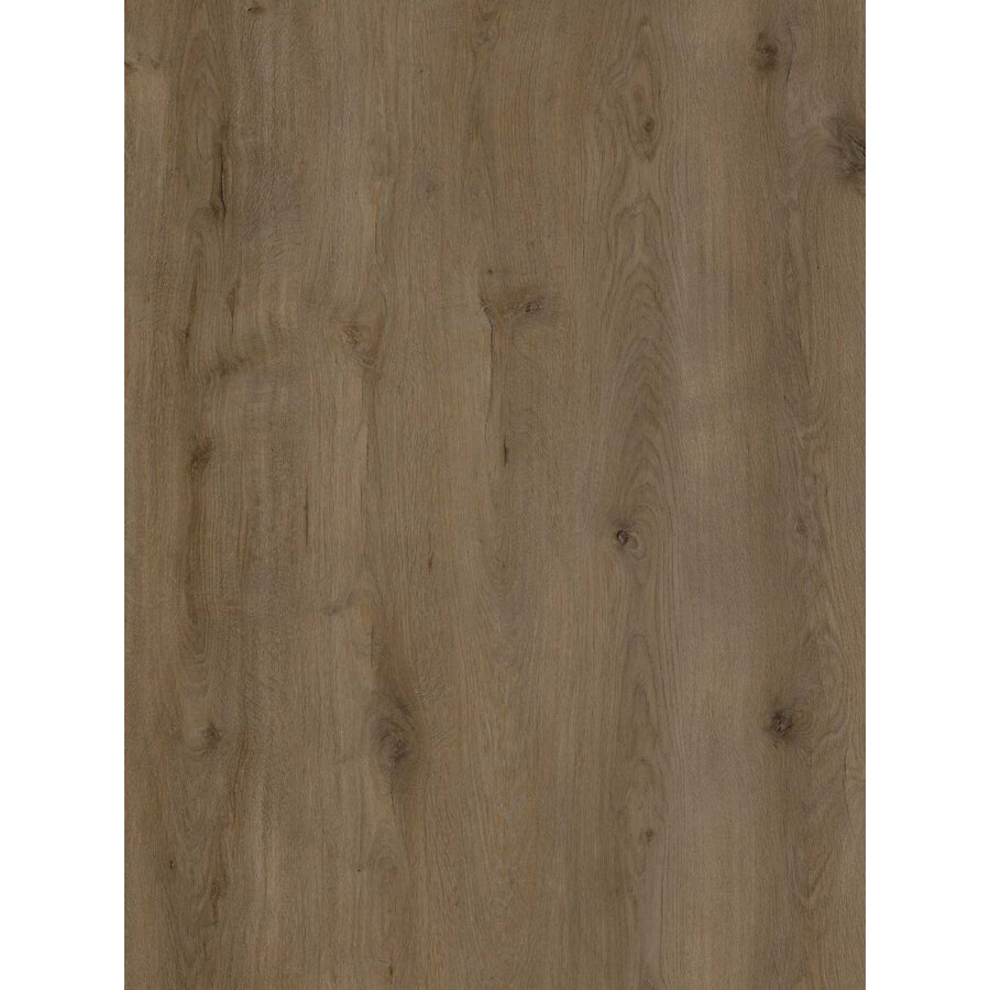 Plak PVC EKO Kingsize collection 23,5 x 150,5 x 0,25 cm Houtlook Seine (Doosinhoud: 3,54 m2)