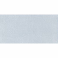 Vloertegel Icon Grey 60X120 (prijs per m2)