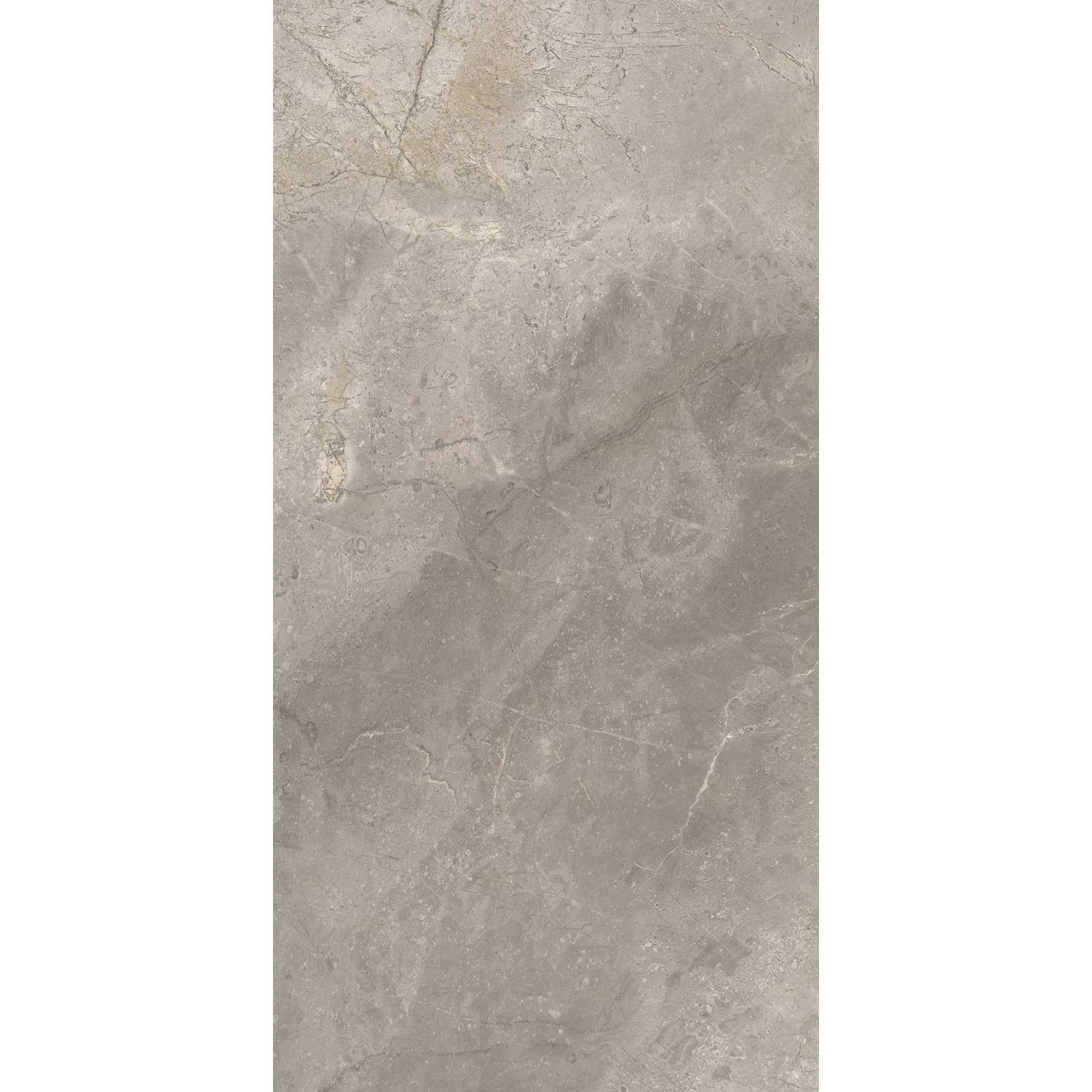 Vloertegel TS-Tiles Stonemaster Silver 60x120 cm TS-Tiles