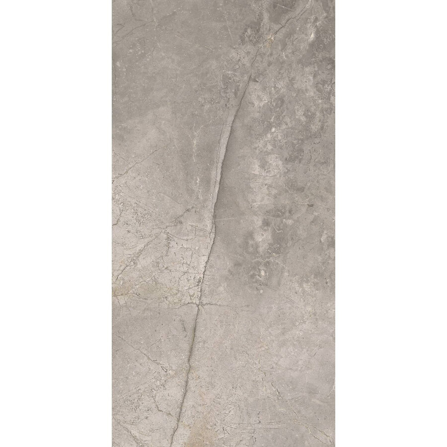 Vloertegel TS-Tiles Stonemaster Silver 60x120 cm (doosinhoud 1.43m2) (prijs per m2)
