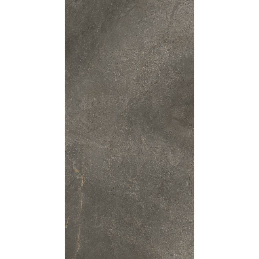 Vloertegel TS-Tiles Stonemaster Graphite 60x120 cm (doosinhoud 1.43m2) (prijs per m2)