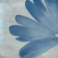 Wandtegel Marazzi Rice 15x15 cm Decor Glans Grigio (prijs per m2)