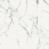 Douglas & Jones Vloertegel Douglas & Jones Magnum 120x120 cm Marmerlook Gerectificeerd 6 mm Geglazuurd Blanc (prijs per m2)