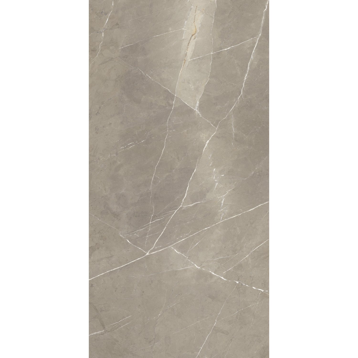 Vloertegel Energieker Pietragrey Glans 60X120 cm Taupe Energieker